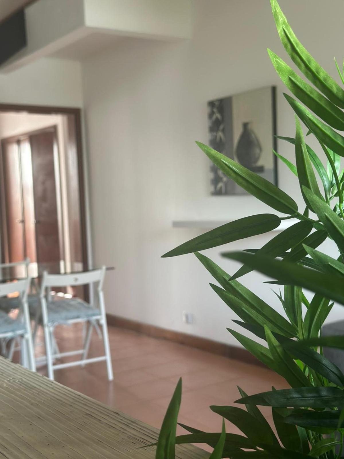 Azores Pedra Apartments - T0 E T1 Ponta Delgada 외부 사진