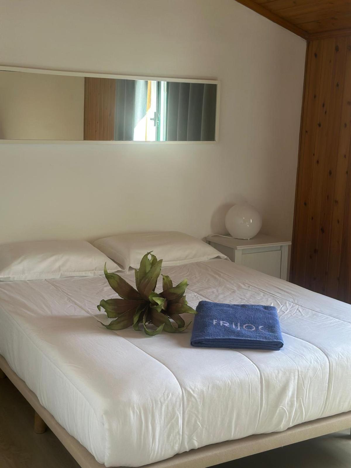 Azores Pedra Apartments - T0 E T1 Ponta Delgada 외부 사진